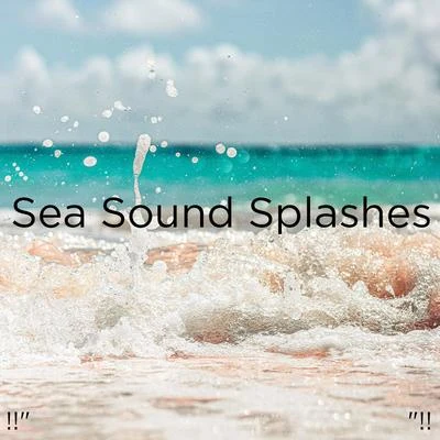 !!" Sea Sound Splashes "!! 專輯 Ocean Waves for Sleep/Ocean Sounds