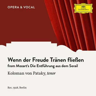 Mozart: Die Entführung aus dem Serail: Wenn der Freude Tränen fließen 專輯 Unknown Orchestra/Leonid Sobinov