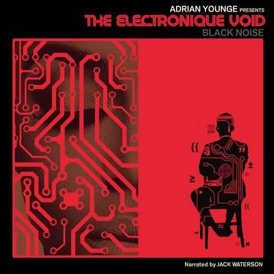 The Electronique Void: Black Noise 專輯 Boardwalk/shigeto/Adrian Younge/Peshay/Ambassadeurs