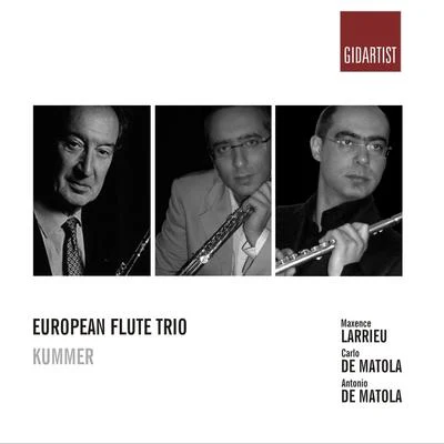 Kummer: Flute Trio 專輯 Maxence Larrieu/Jean-Pierre Wallez/Nathalie Stutzmann/Ensemble Instrumental De France/Johann Sebastian Bach