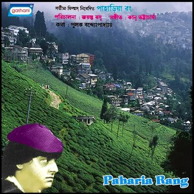 Paharia Rang 专辑 Suresh Wadekar