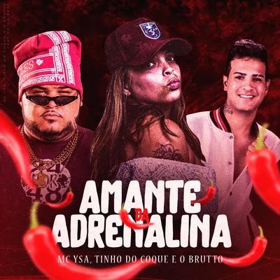 Amante da Adrenalina 专辑 Tinho do Coque