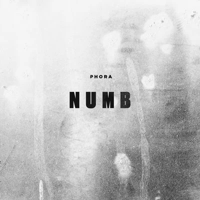 Phora Numb