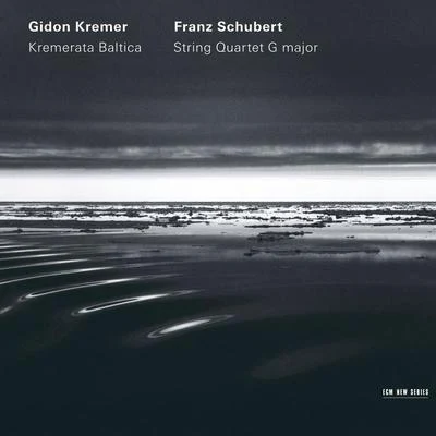 String Quartet No.15 in G, D.887 專輯 Gidon Kremer/Wiener Philharmoniker/Nikolaus Harnoncourt