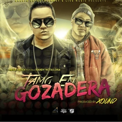 Tamo en Gozadera (Radio Edit) [feat. Randy Nota Loka] 專輯 Jayma/Mega Sexxx/Dalex/Nicky Jam