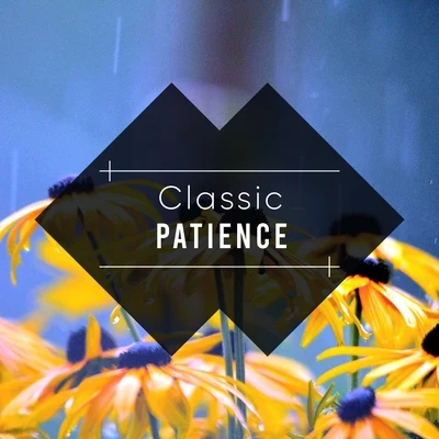 #Classic Patience 專輯 Rain Sounds No Music/Rain Sounds for Sleeping/Rain Sounds/Rain Sounds For Sleep/Rain Sounds by Arron Johnson