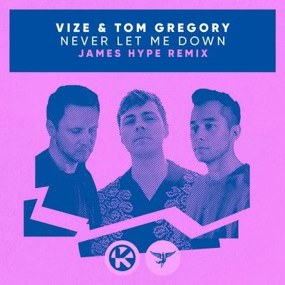 Never Let Me Down (James Hype Remix) 專輯 VIZE