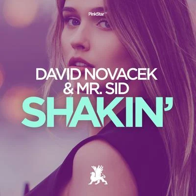 Shakin 專輯 David Novacek/Antho Decks