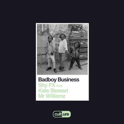 Badboy Business 專輯 Power/Shy FX