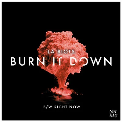 Burn It Down 專輯 LA Riots