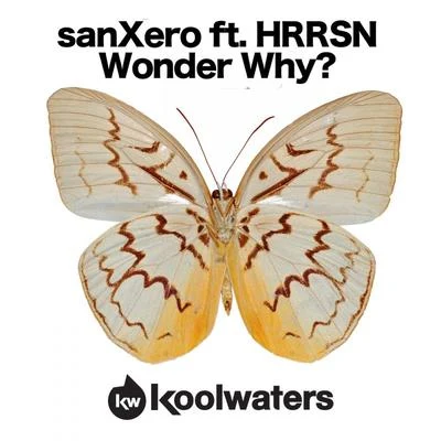 Wonder Why? 专辑 Beth Hirsch/sanXero