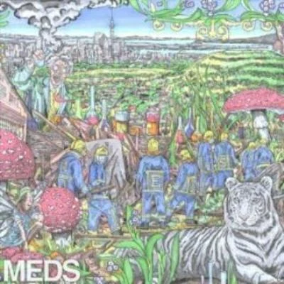 MEDS 專輯 Mt Eden