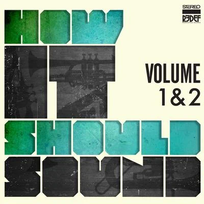 How It Should Sound - Volume 1 & 2 专辑 Damu the Fudgemunk