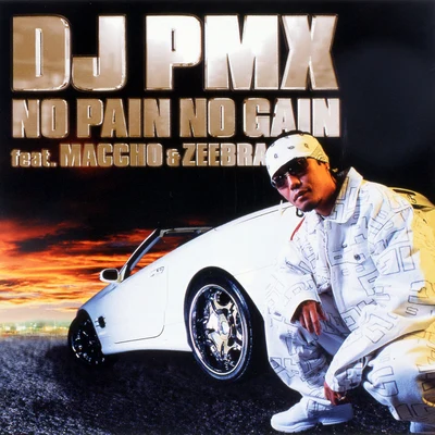 NO PAIN NO GAIN 專輯 ZEEBRA