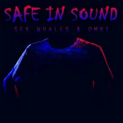 Safe In Sound 专辑 Omri