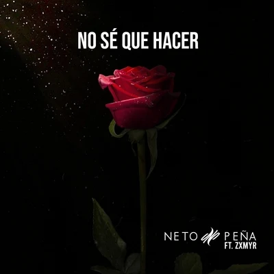 No Sé Que Hacer (feat. Zxmyr) 專輯 Turek Hem/Neto Peña