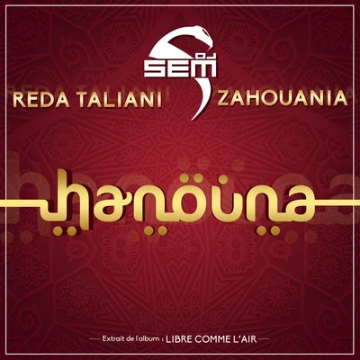 DJ Sem Hanouna (Radio Edit)