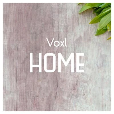 Voxl Home