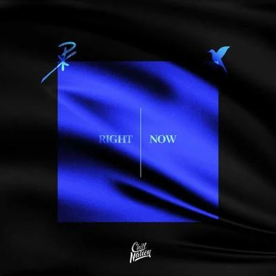 Right Now 專輯 Nurko/Dispatch/Ramirez/Pharmacist/Nayt