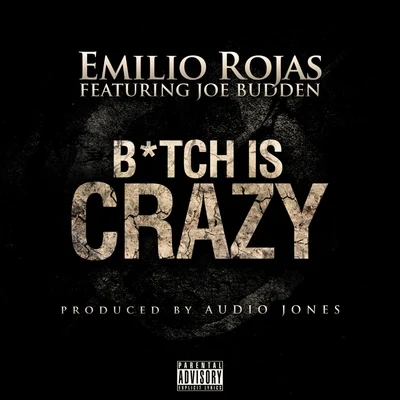 B*tch is Crazy 專輯 Joe Budden