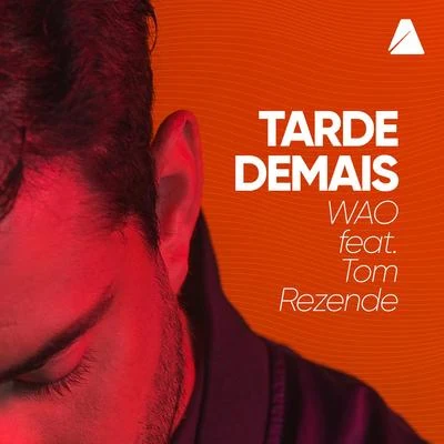 Tarde Demais 專輯 WAO/LUFT/Tom Rezende/BD/Samhara