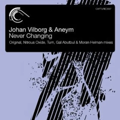 Johan Vilborg Never Changing