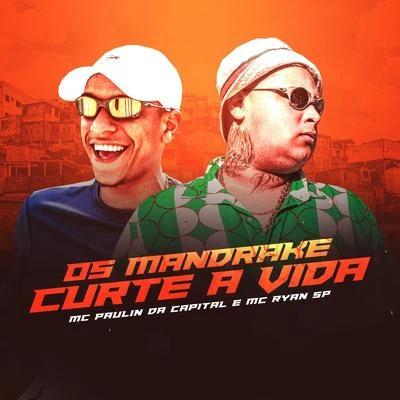 Os Mandrake Curte a Vida 专辑 MC Paulin da Capital