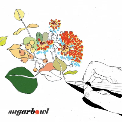 오늘 밤 專輯 Sugarbowl/JKyun