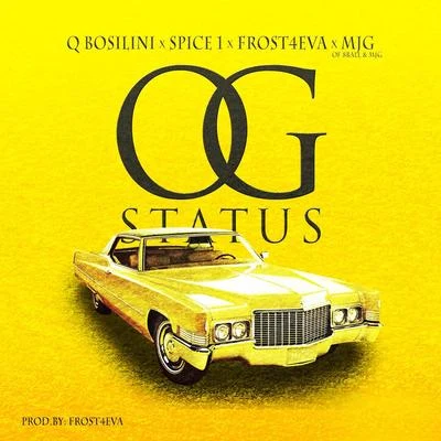 Og Status (Radio Edit) 專輯 MJG