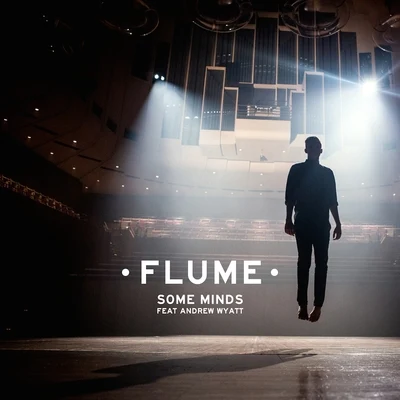 Some Minds 專輯 Flume