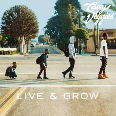 Actin Up 專輯 Casey Veggies/Rockie Fresh