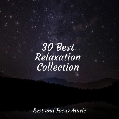 Sounds of Nature White Noise Sound EffectsBest Relaxing SPA MusicNatural Sounds 30 Best Relaxation Collection