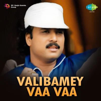 Various Artists/S. Janaki Valibamey Vaa Vaa