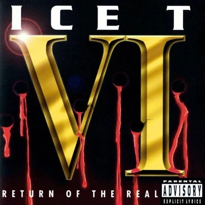 VI: Return Of The Real 专辑 ICE-T/Ice T