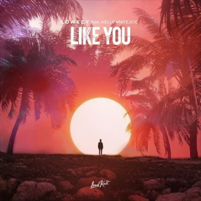 Like You 專輯 Lowkey/Kardinal