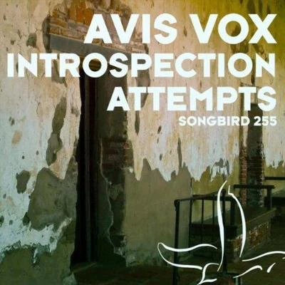 Introspection Attempts 专辑 Avis Vox