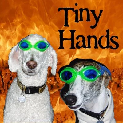 Tiny Hands 專輯 NOPS/Hawk