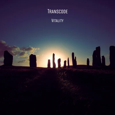 Transcode Vitality