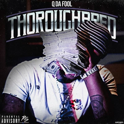 Thoroughbred 專輯 HB The Engineer/Q Da Fool