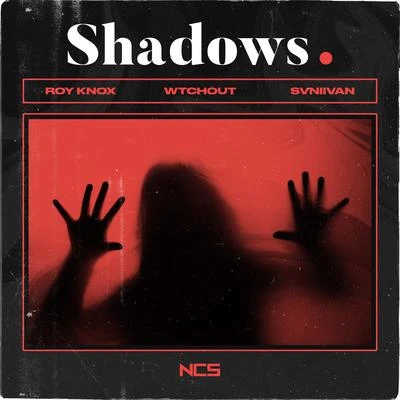 Shadows 專輯 ROY KNOX