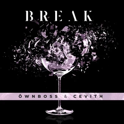 Break 专辑 Öwnboss/SEVEK