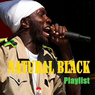 Natural Black : Playlist 專輯 Natural Black