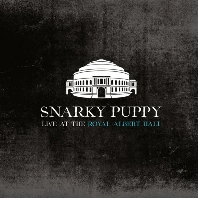 Carlos MaltaBernardo AguiarSnarky PuppySalif Keita Live at the Royal Albert Hall