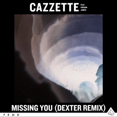 Missing You (Dexter Remix) 專輯 Parson James