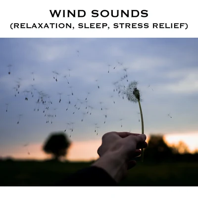 Wind Sounds (Relaxation, Sleep, Stress Relief) 專輯 White Noise Radiance/White Noise Therapy