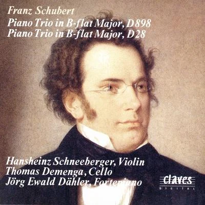 Schubert: Piano Trios D. 898 & D. 28 專輯 Thomas larcher/Hansheinz Schneeberger