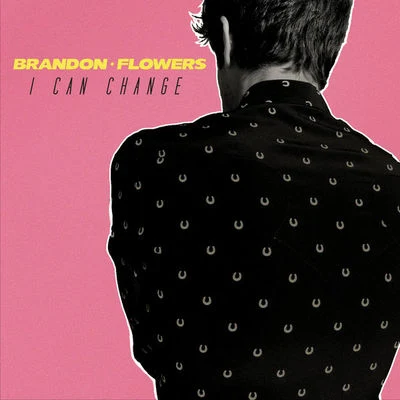 Brandon Flowers I Can Change