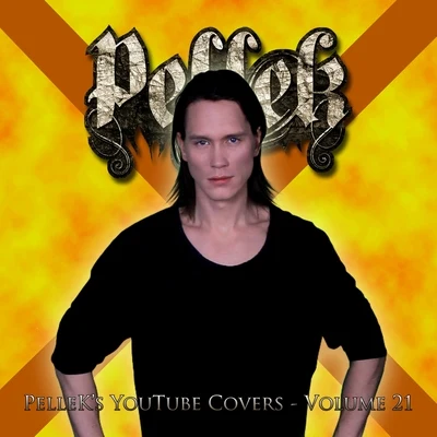 Covers Vol. 21 專輯 PelleK