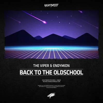 The ViperDJ Neophyte Back To The Oldschool