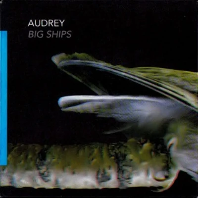 Big Ships 专辑 audrey